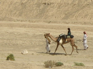 Taking the slow way across the desert. Photo credit: Cori Wilkerson.